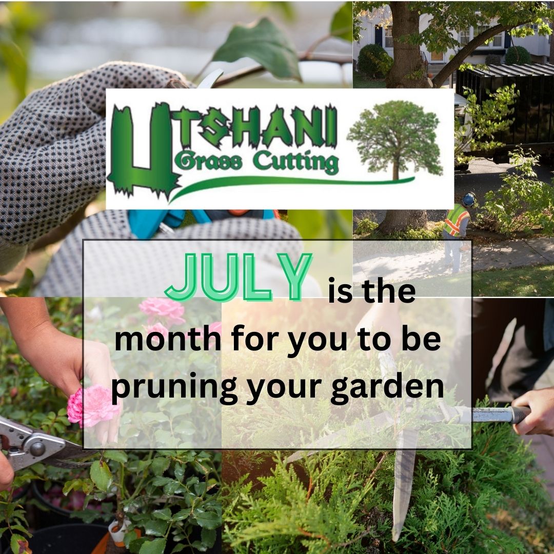 Utshani_July-Gardening-Tips