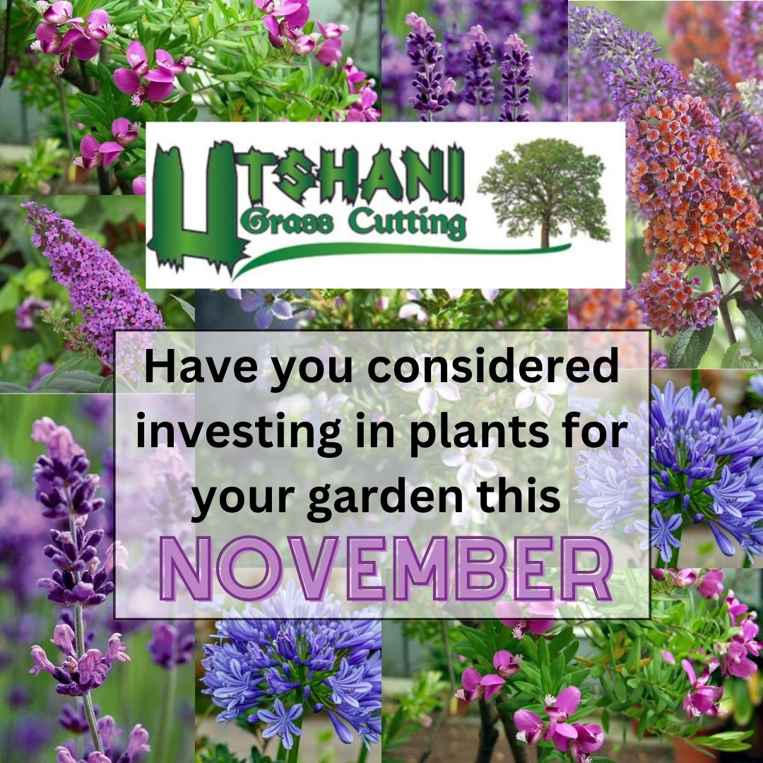 Utshani_November-Gardening-Tips and benefits